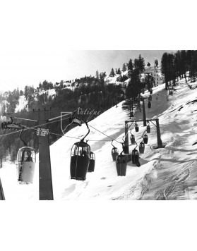 Vintage Ski Photo - Gondola Livigno
